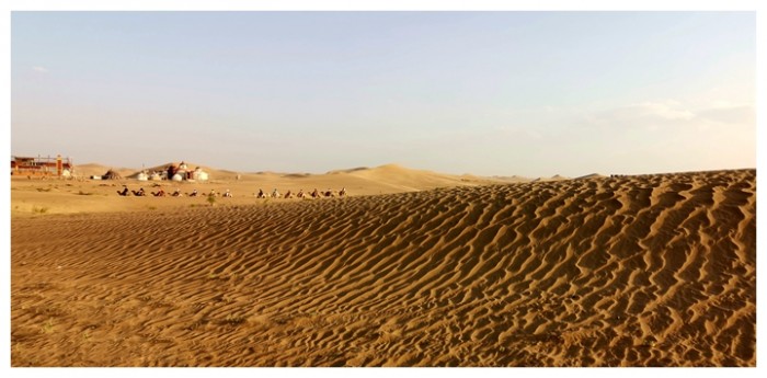 西北大漠 高坚 摄影.jpg 西北大漠 高坚 摄影.jpg