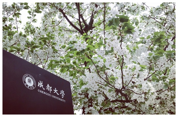 樱灿陌上 孙野 摄影.JPG 樱灿陌上 孙野 摄影.JPG