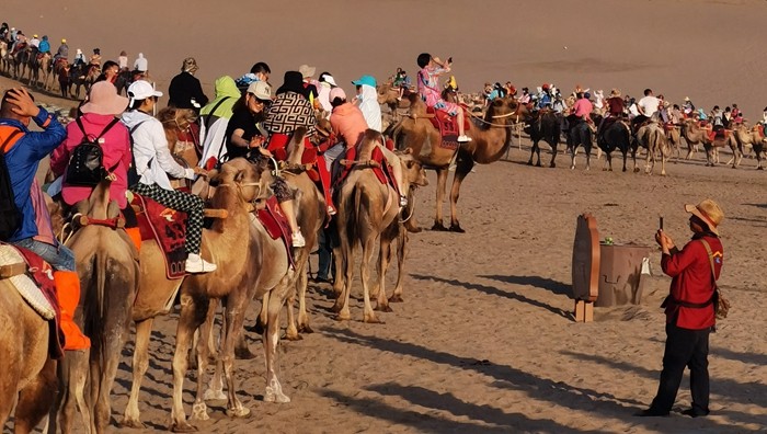 新骆驼客 龙波宇_副本.jpg