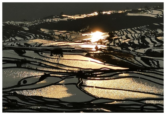 七彩梯田 黄鸣 摄影.jpg 七彩梯田 黄鸣 摄影.jpg