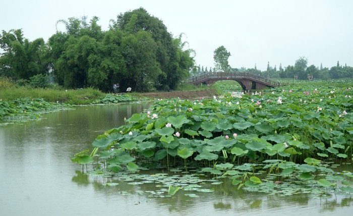 乡村新貌 席原_副本.jpg