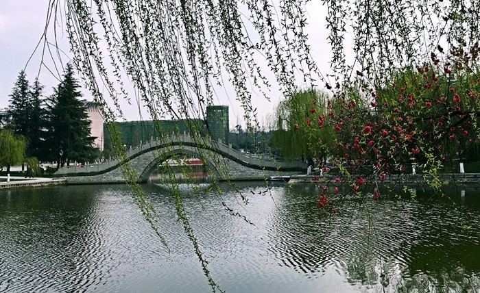 春水2 崔楠 外国语九游官方网站_副本.jpg