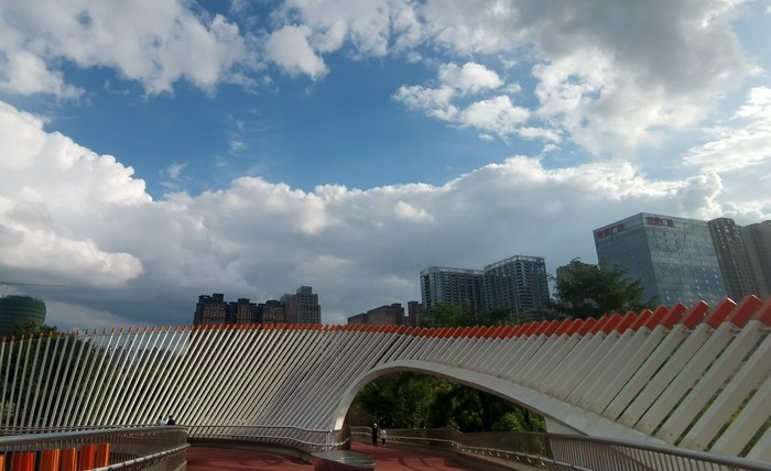 方向 张岚_副本.jpg